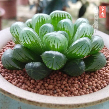 Cloud Zoom small image