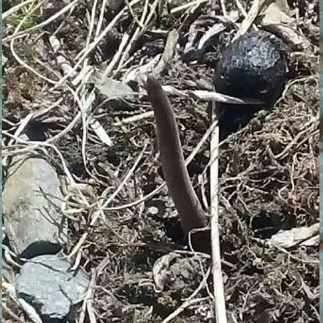 Cloud Zoom small image