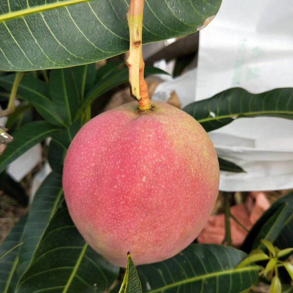 Cloud Zoom small image