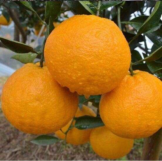 Cloud Zoom small image