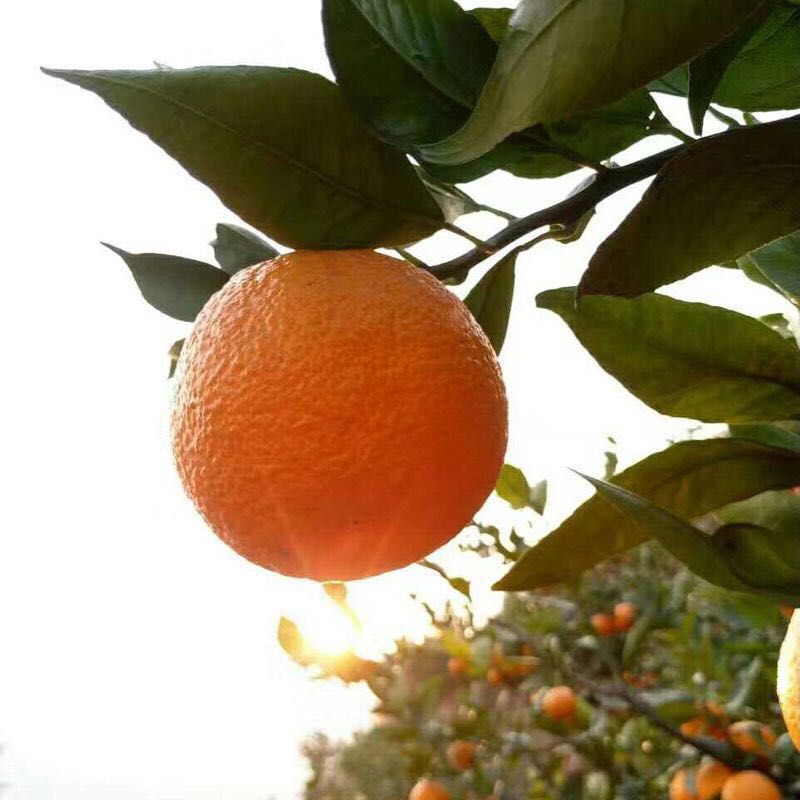 Cloud Zoom small image