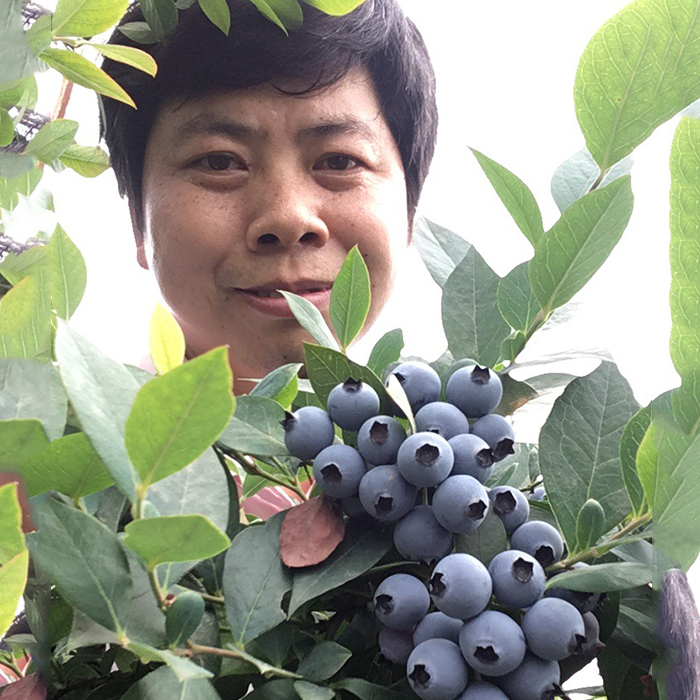 Cloud Zoom small image