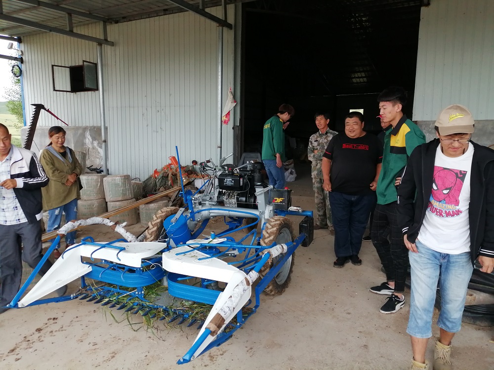 赤峰农科院在巴林左旗召开帚用高粱赤笤102和意大利割捆机现场观摩会
