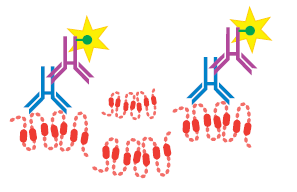 20180523150846_15107.png AT1R.png