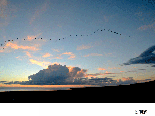 2017上期摄影班学员刘明辉作品