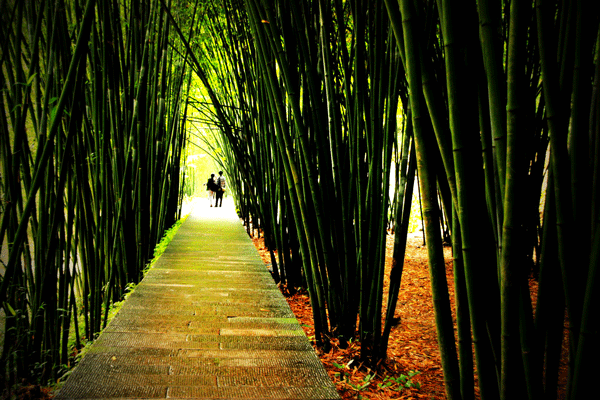 2017下期摄影班陈淑琴学员作品