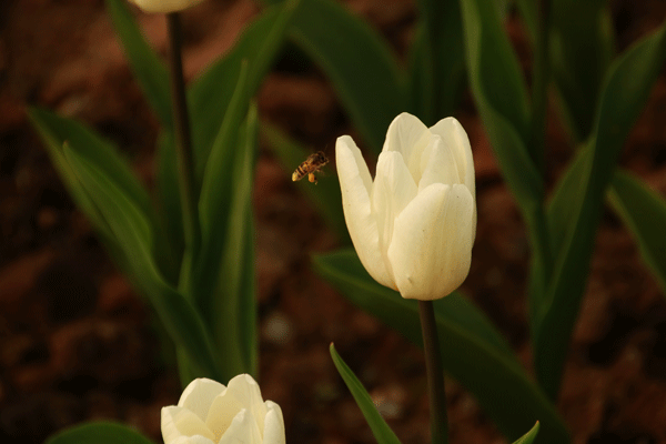 2017下期摄影班尹国林学员作品