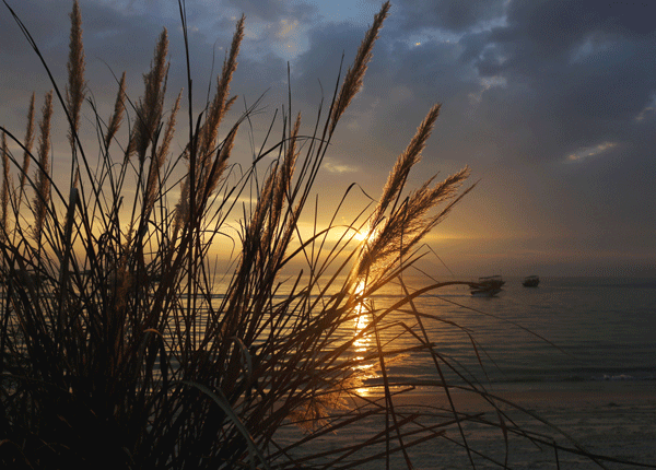 2017下期摄影班陈晓华学员作品