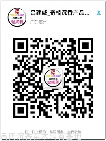 双龙沉香烟购买微信 双龙沉香烟购买微信