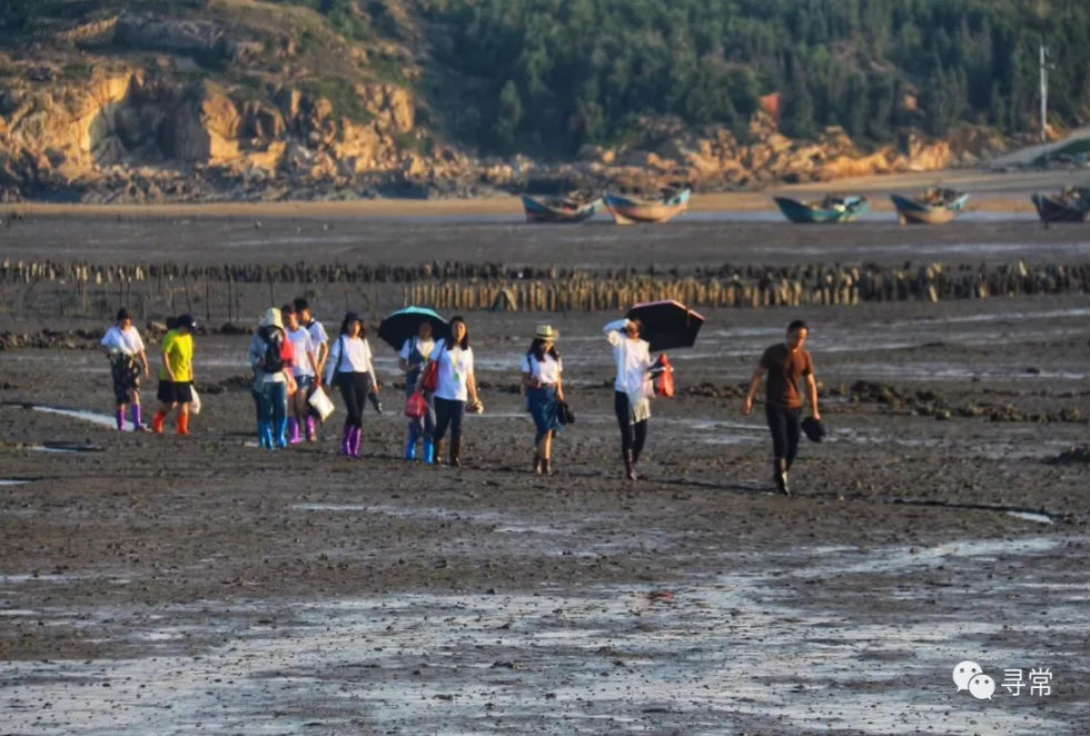 20190120151715_75099.jpg 16.webp.jpg