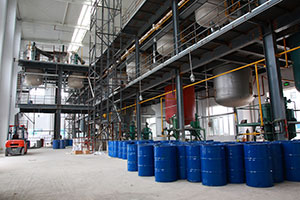 企業(yè)風(fēng)采