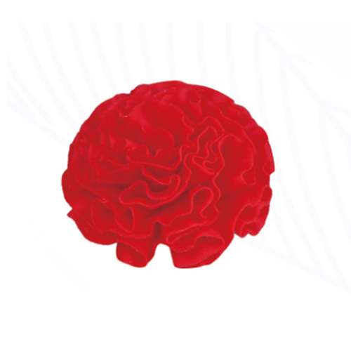 Cloud Zoom small image