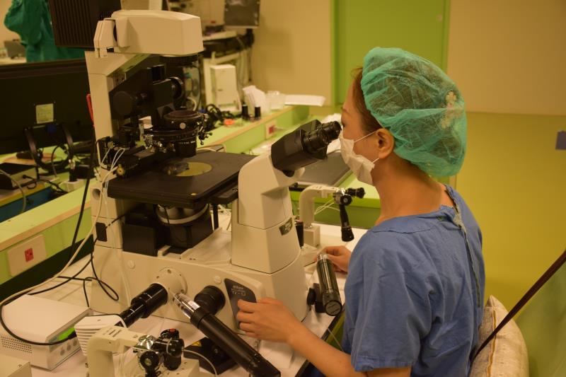 台湾国际生殖中心