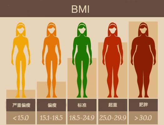 更深入了解自己的身体指数： 体脂、BMI、基础代谢率-成都瑞庚医疗科技