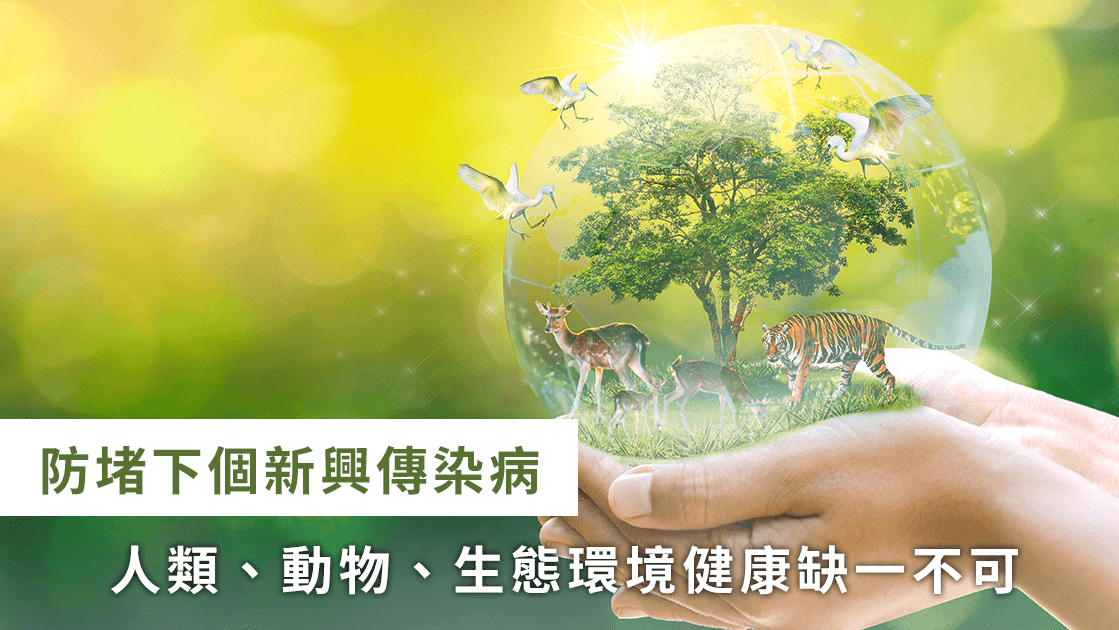 全球传染病 全球传染病