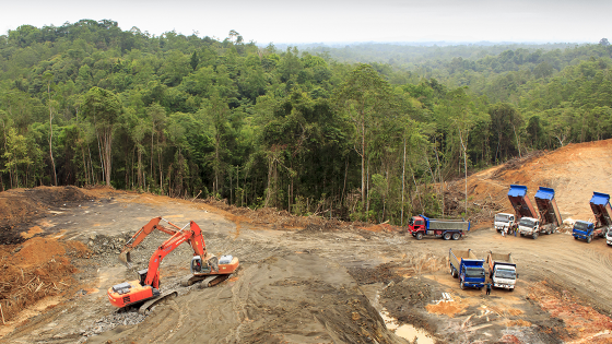 全球传染病 全球传染病