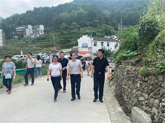 青阳代表看大山.jpg