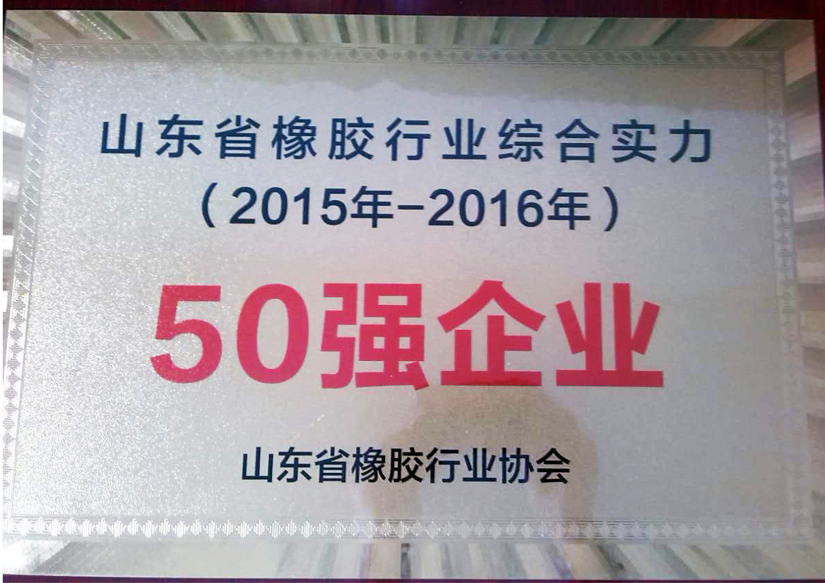 山东省橡胶行业50强