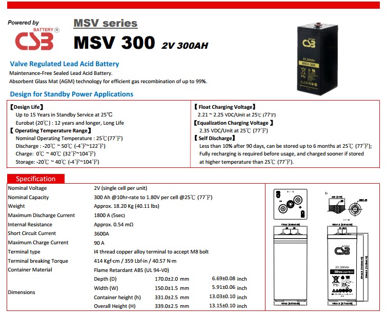 MSV-300.JPG