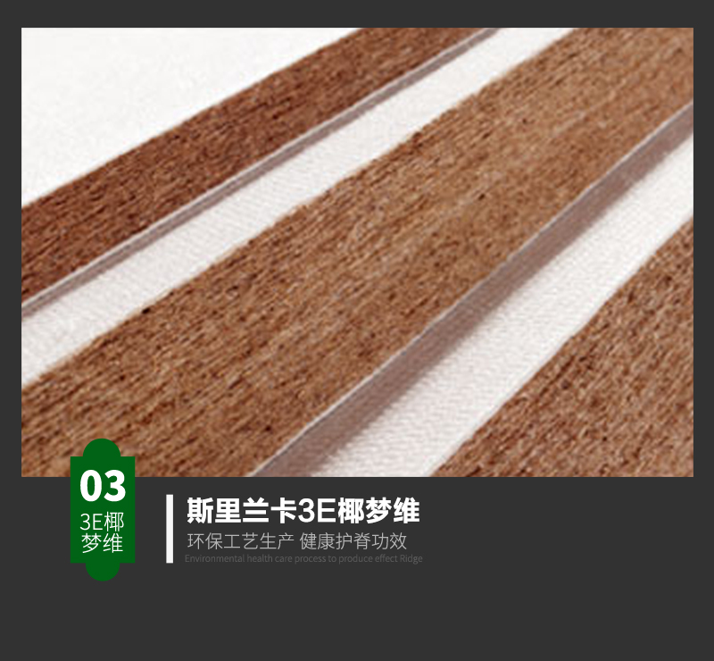 JM608梦伴·佳棕_08.jpg