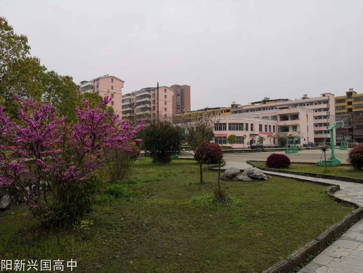 20200507214055_62457.jpg 夏花.jpg