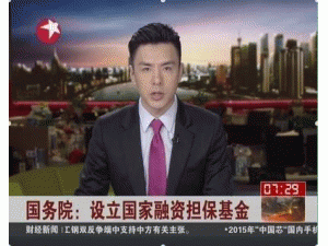 我国将设立国家融资担保基金