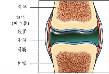 倒春寒来袭,天气寒冷,当心滑膜炎来找茬