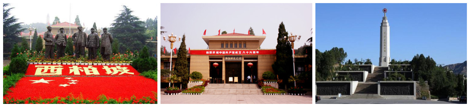 20210318180343_25085.jpg 合图1.jpg