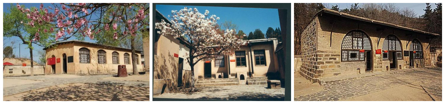 20210318180359_52439.jpg 合图2.jpg