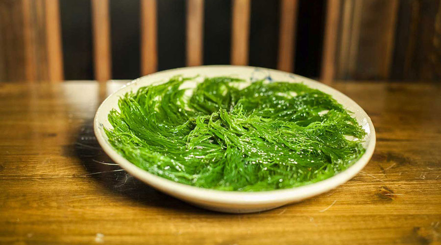 清利爽口的龙须菜,是重口味的牛油火锅中的一股清流.
