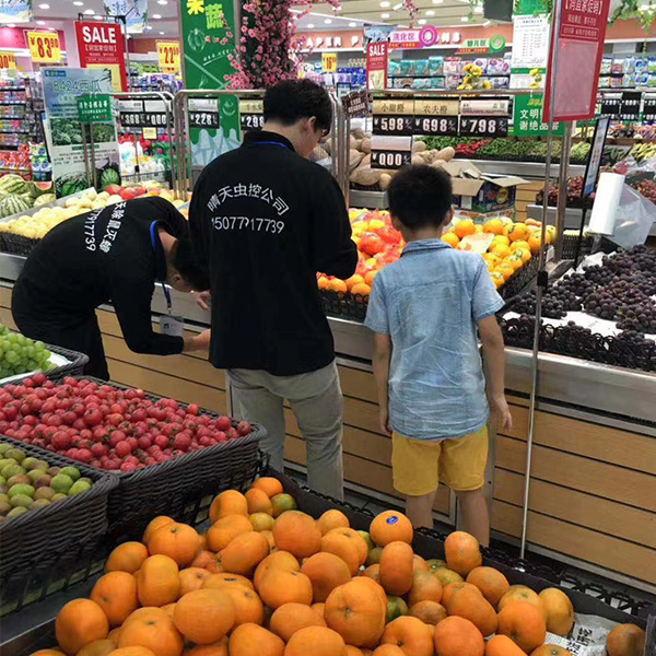 超市滅老鼠現(xiàn)場(chǎng)