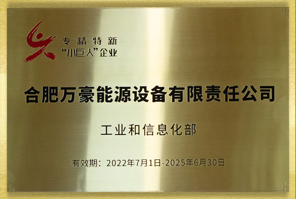 國家專精特新“小巨人”企業(yè)