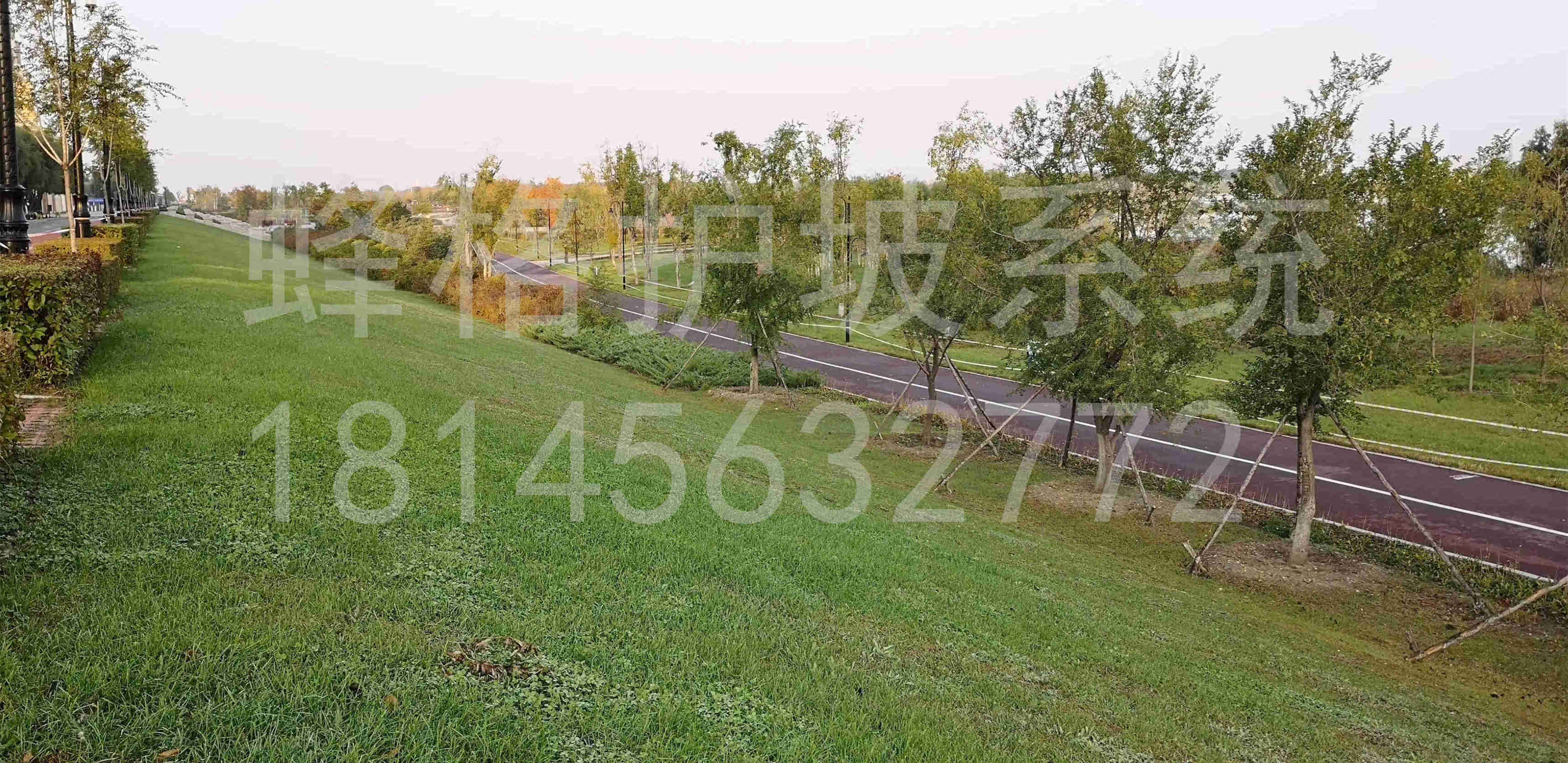 松花江群力段岸坡