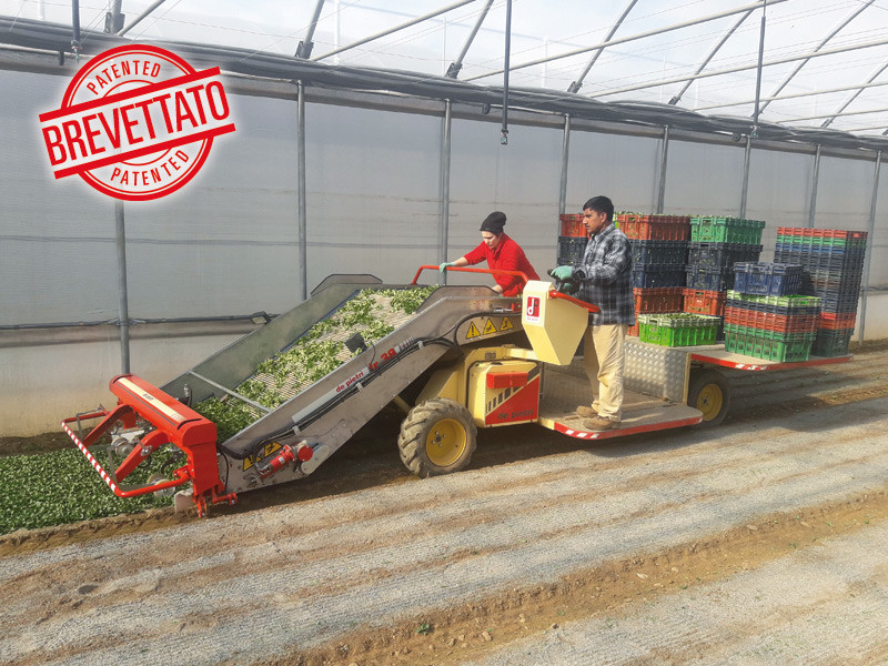 FR38 S叶菜收获机/Baby Leaf Harvester