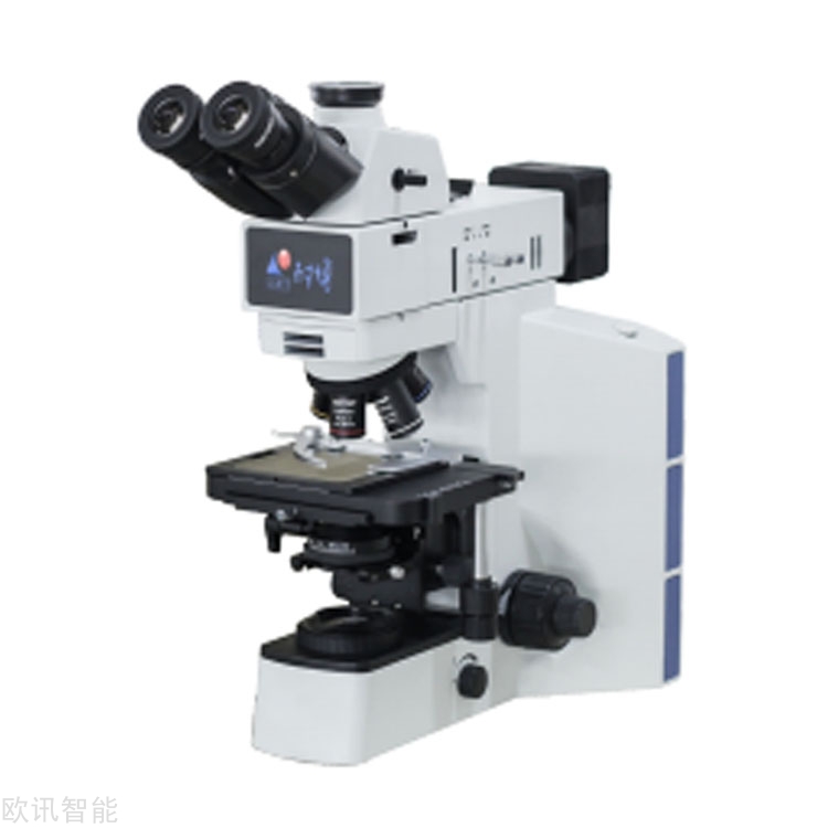 20250307145453_43099.jpg 11.jpg