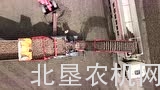 迪沃夫240马铃薯转运机