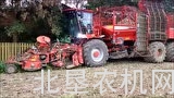 荷马Terra Dos T4 40自走式甜菜收获机作业