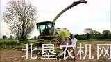 克拉斯Jaguar970青贮机作业