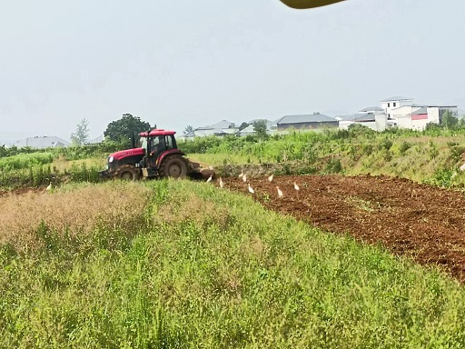 老苏服务日记2022年5月21号