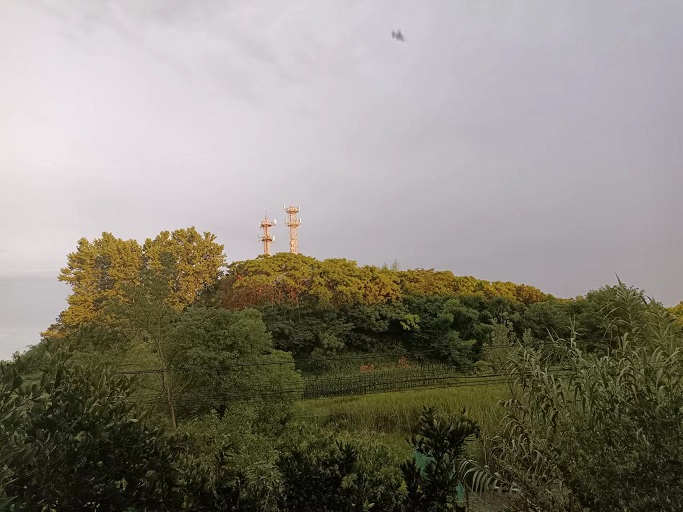 老苏服务日记2022年6月30日