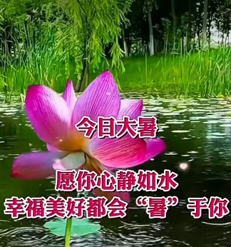 老苏服务日记2022年7月23日