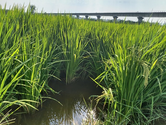 老苏服务日记2022年8月18日