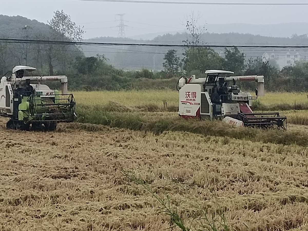 老苏服务日记2022年10月6日