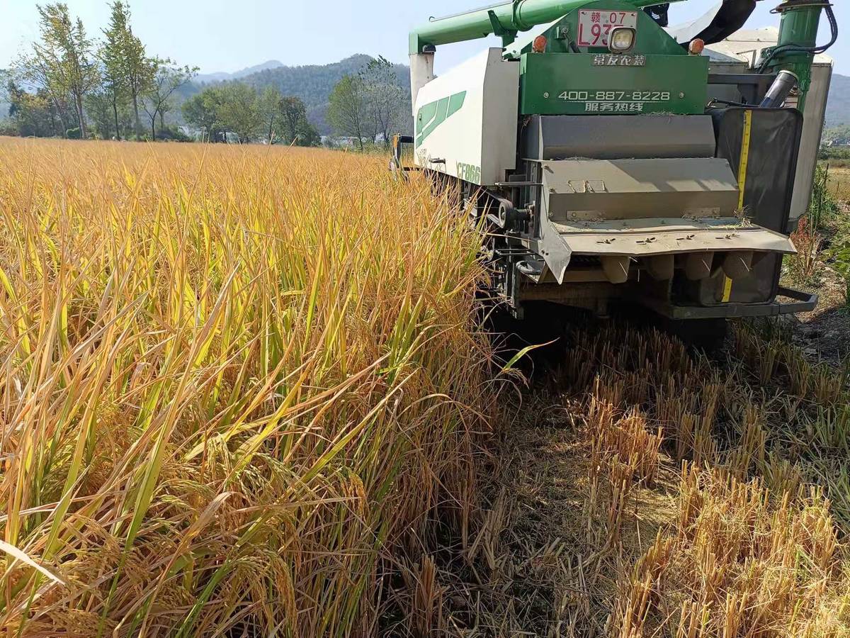 老苏服务日记2022年12月8日