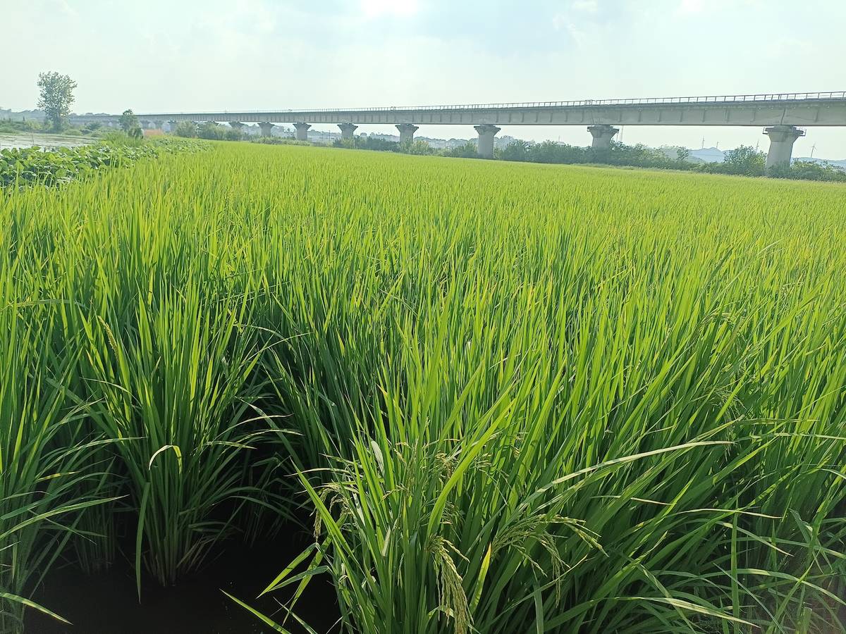 老苏服务日记2022年12月28日