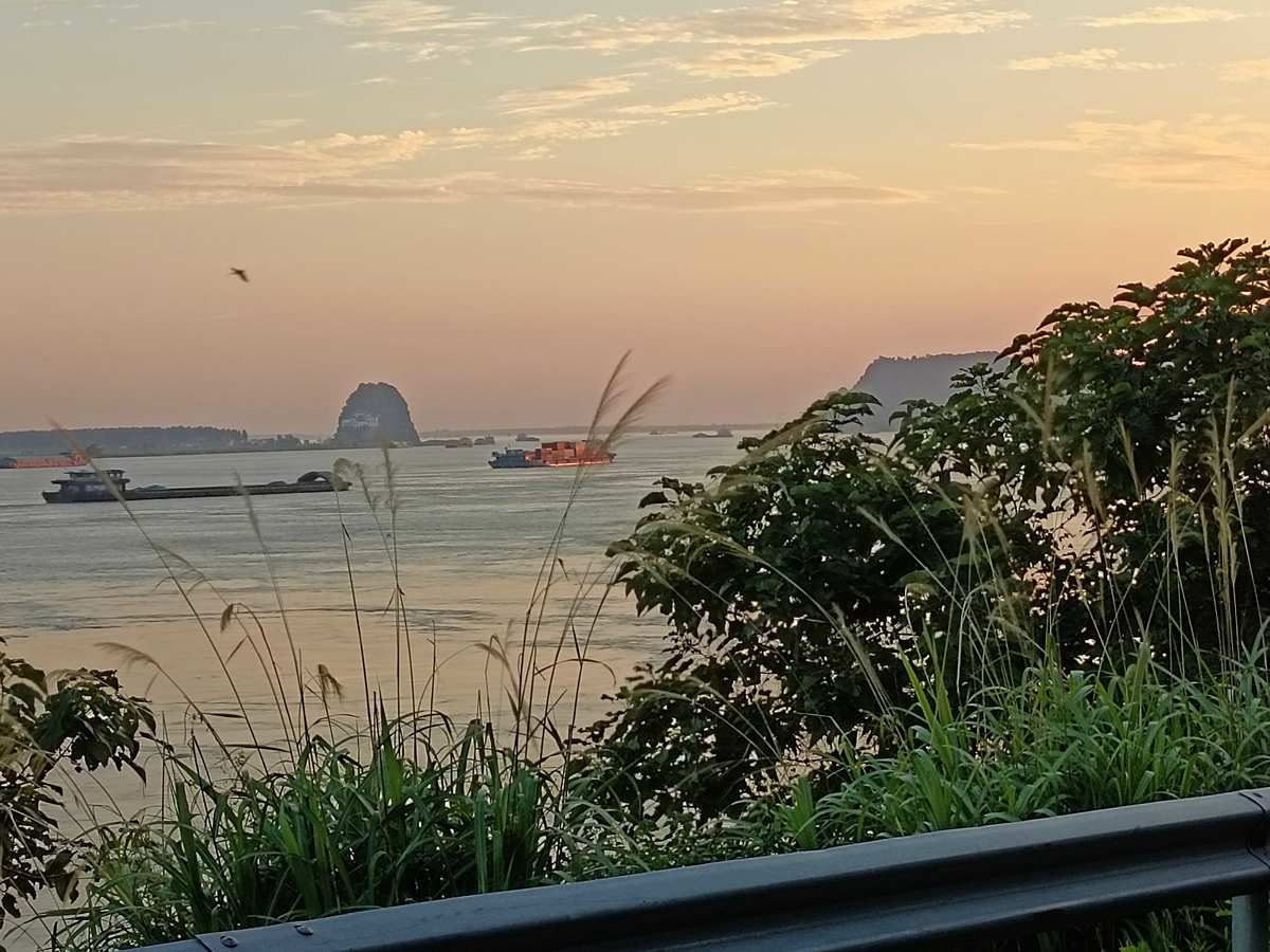 老苏服务日记2022年12月29日