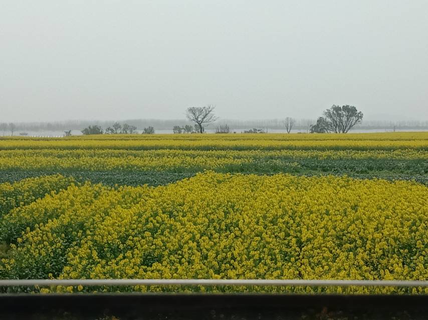 老苏服务日记2023年3月12日