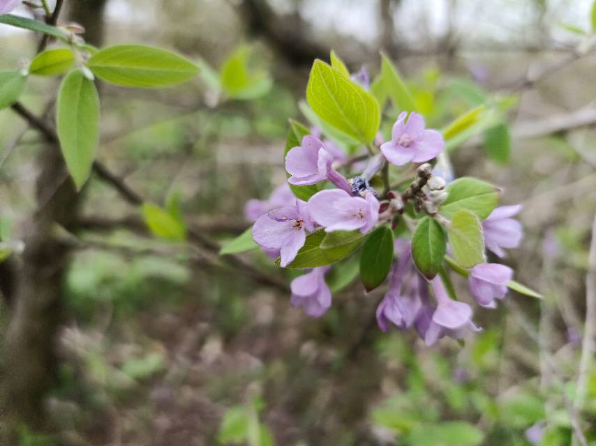 老苏服务日记2023年3月25日