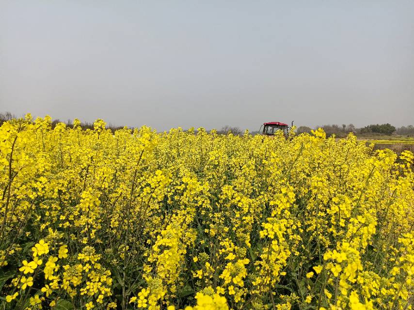 老苏服务日记2023年4月2日