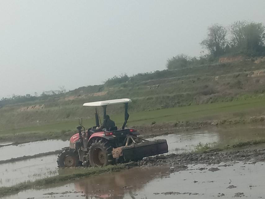 老苏服务日记2023年4月11日